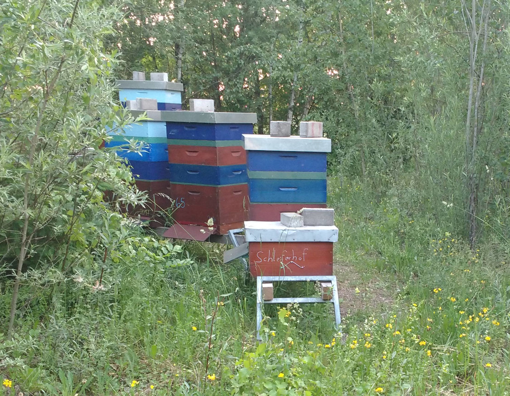 Bunte Bienenkästen