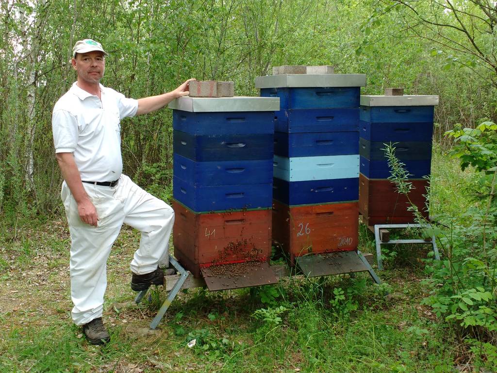 Bienenstand mit Honigräume
Termin Anmeldung Buchung Kurs