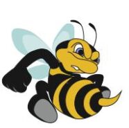 Böse Bienen machen viel Arbeit